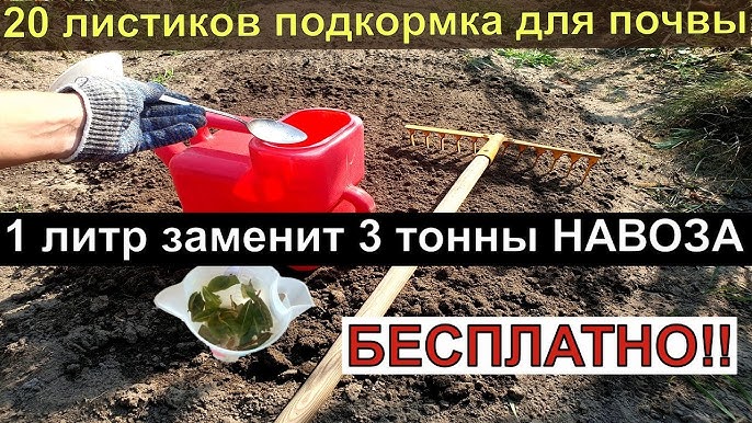 Чем заменить удобрения?