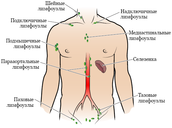 Что делать если у тебя болит ключица?