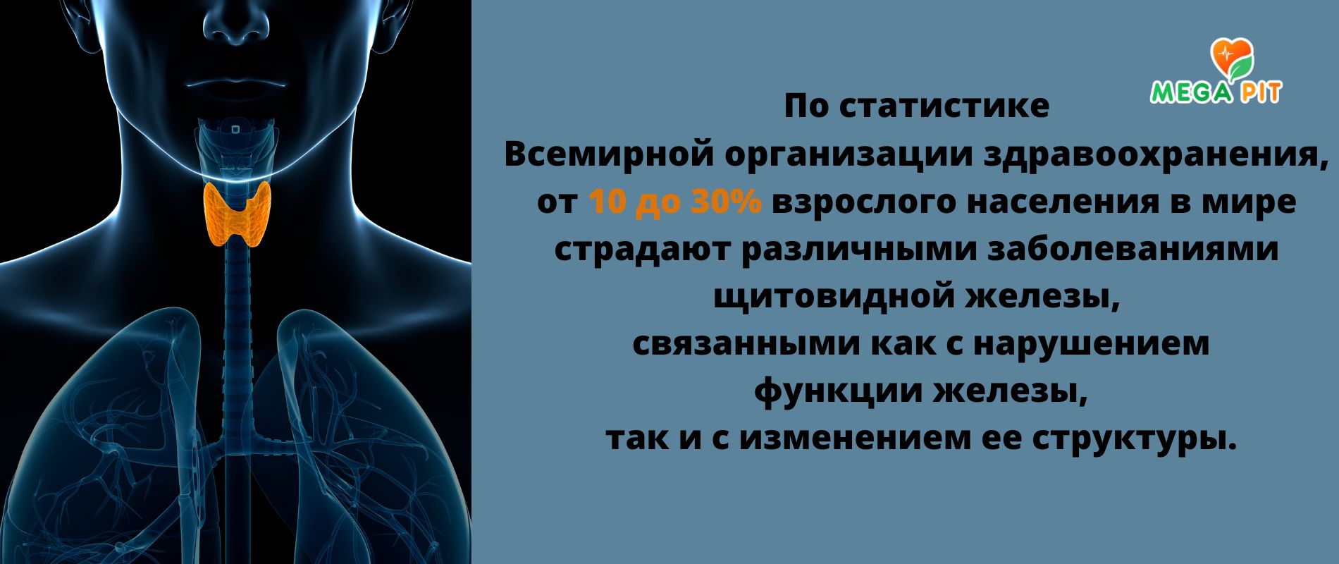 Что лечит кошачий коготь?