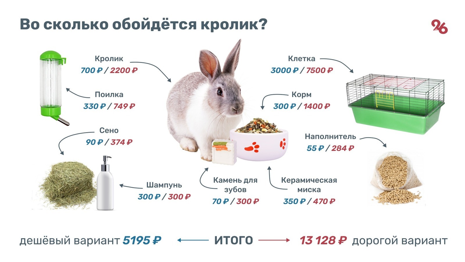 Что любят есть декоративные кролики?