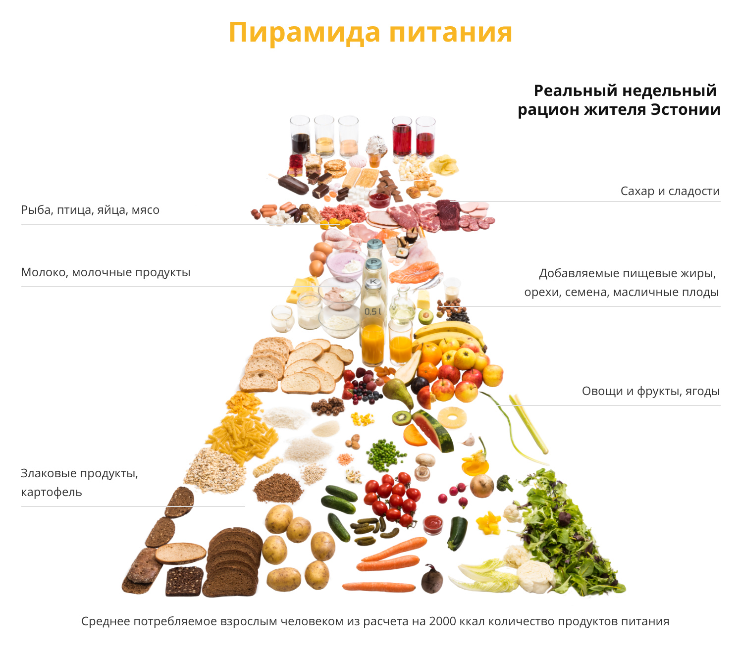 Что нужно есть чтобы организм был здоровым?