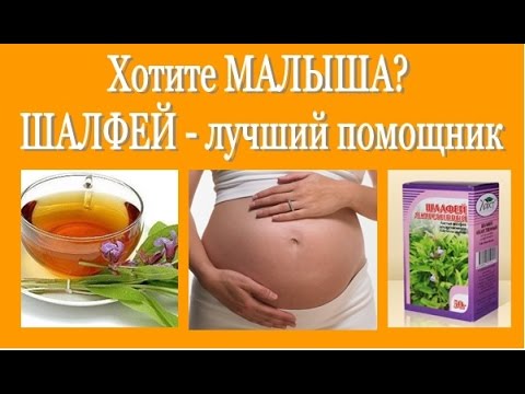 Что нужно сделать чтобы не забеременеть народные средства?