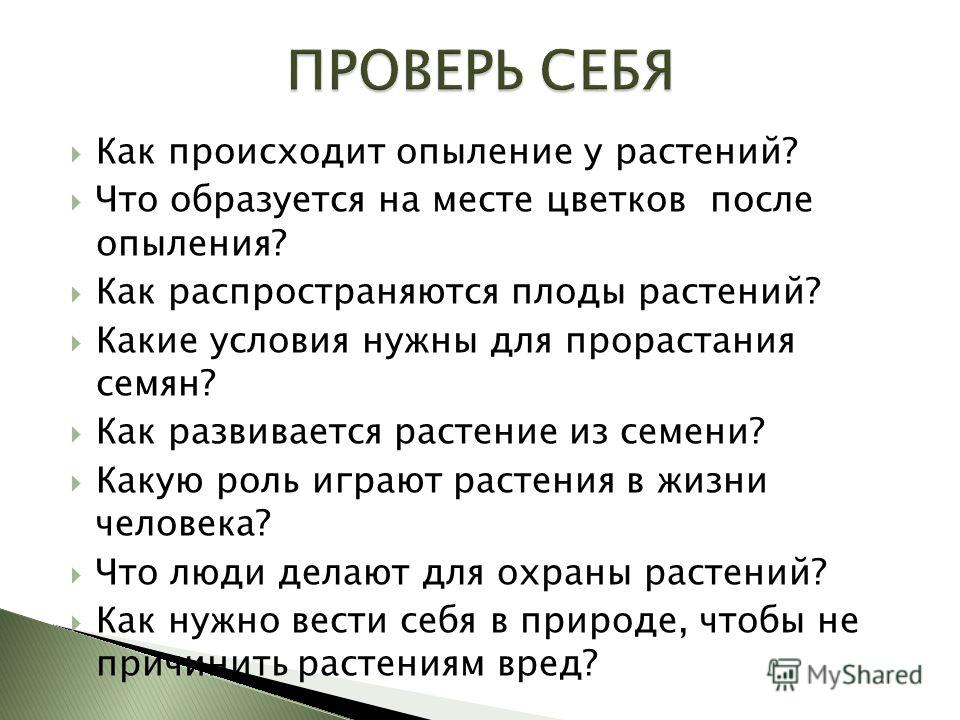 Что образуется на месте цветка после опыления?