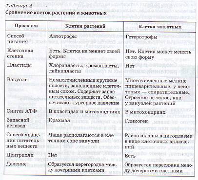 Что общего в строении клеток грибов и животных?