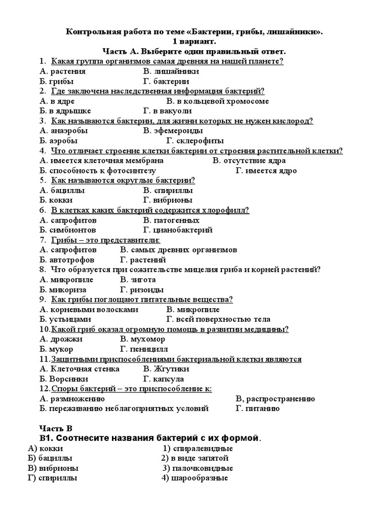 Что отличает грибы от бактерий?