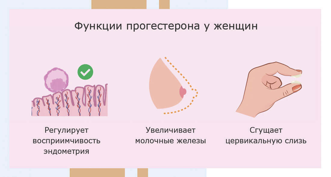 Что показывает анализ на прогестерон?