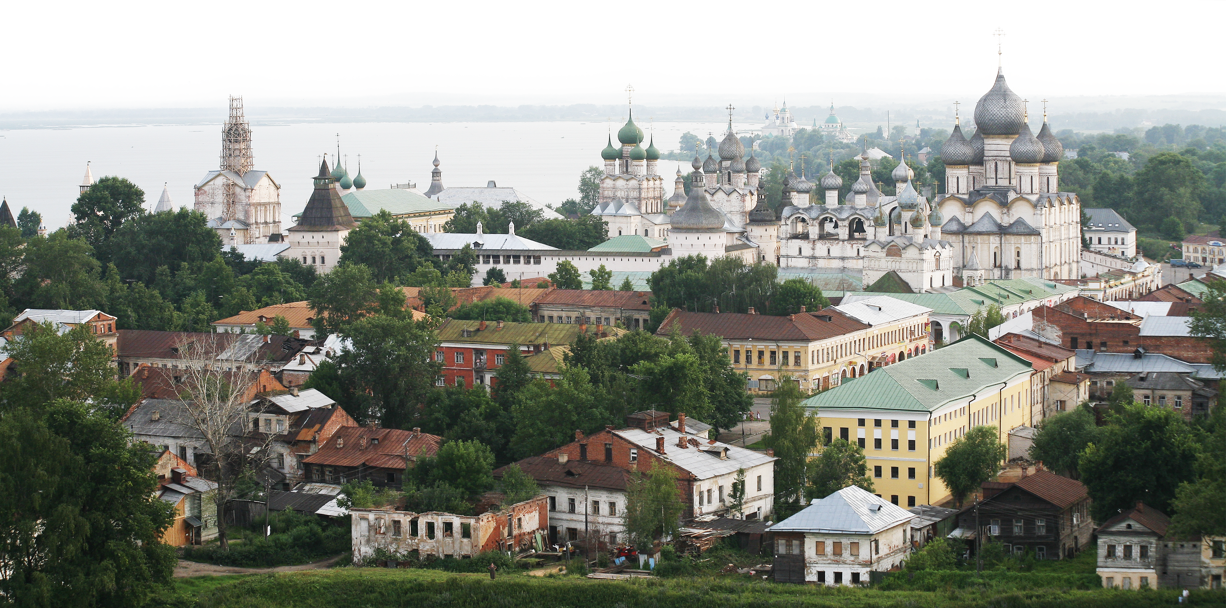 Что растет в Ростове на Дону?