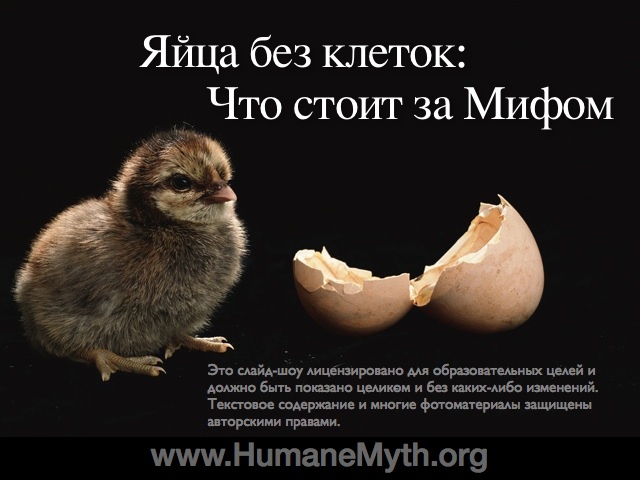 Что считается яйцом без клетки?