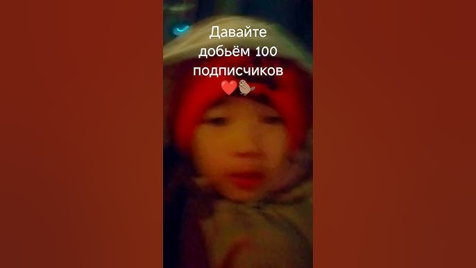 Что такое Доби Ши-тцу?