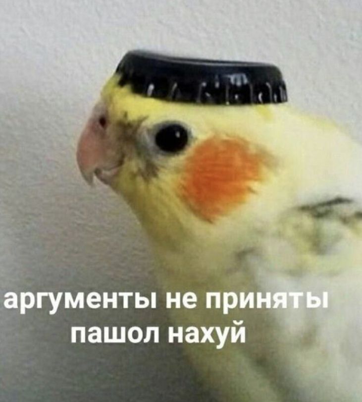 Что такое аргумент и не аргумент?