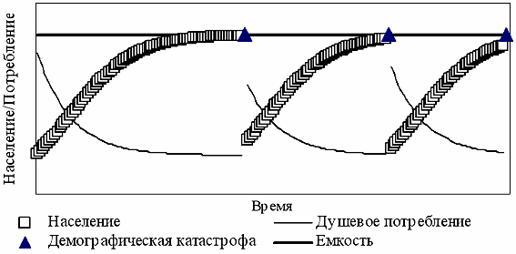 Что такое демографический цикл?