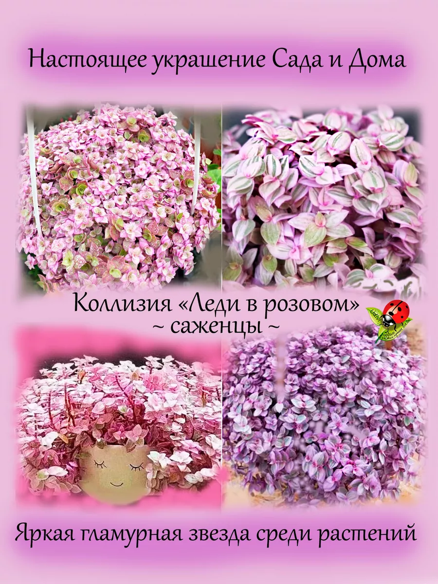 Что такое коллизия хеш таблиц?