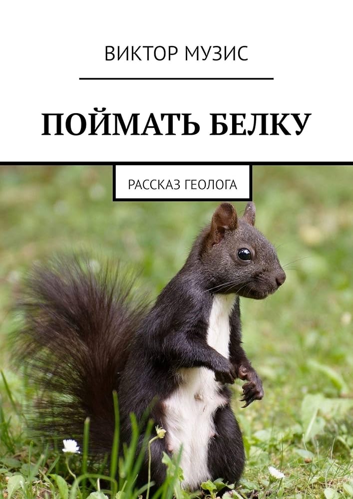 Что такое поймать белку?