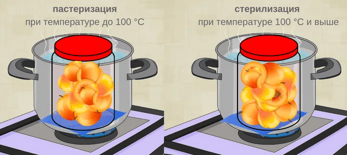 Что такое стерилизация и пастеризация?