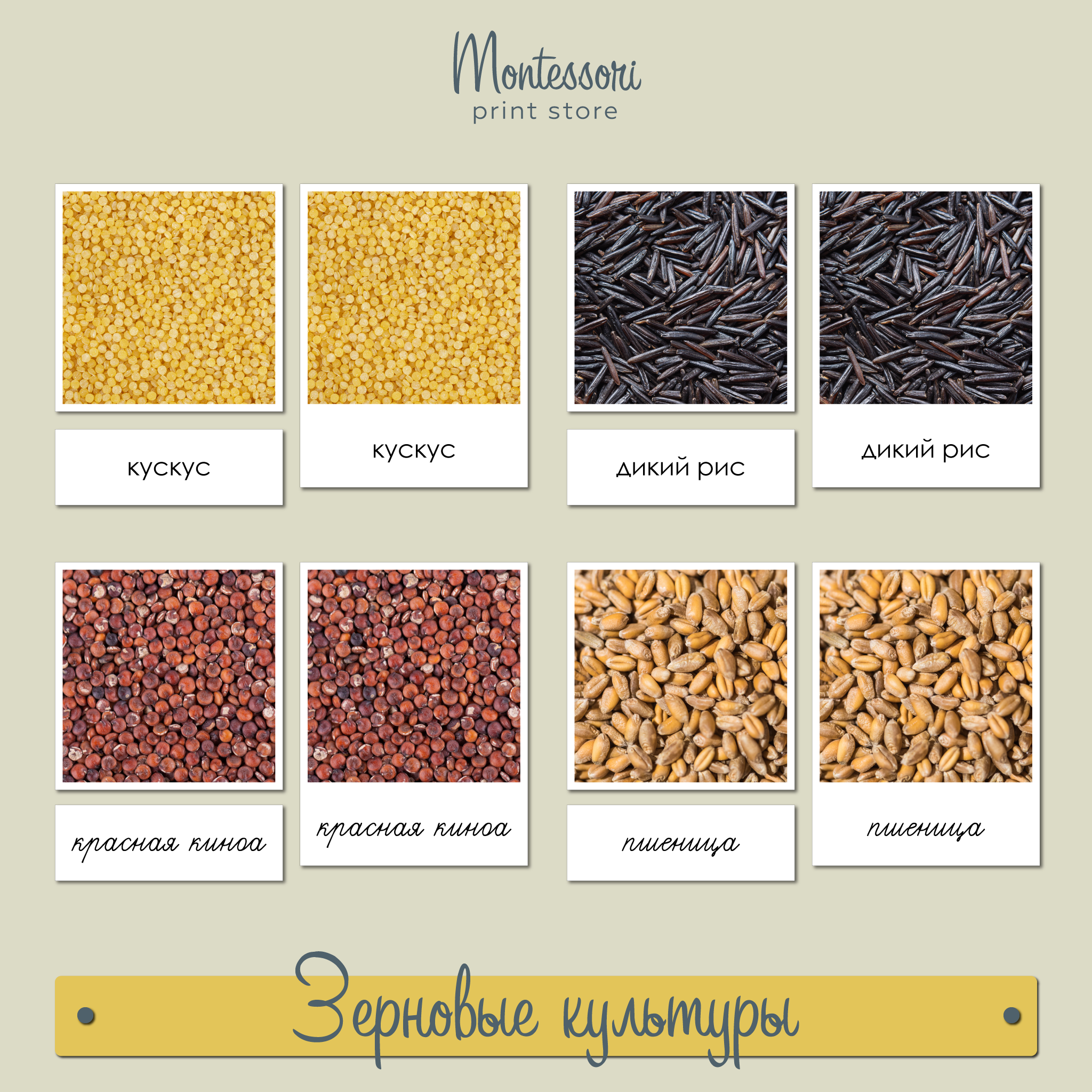 Что входит в зерновые культуры?