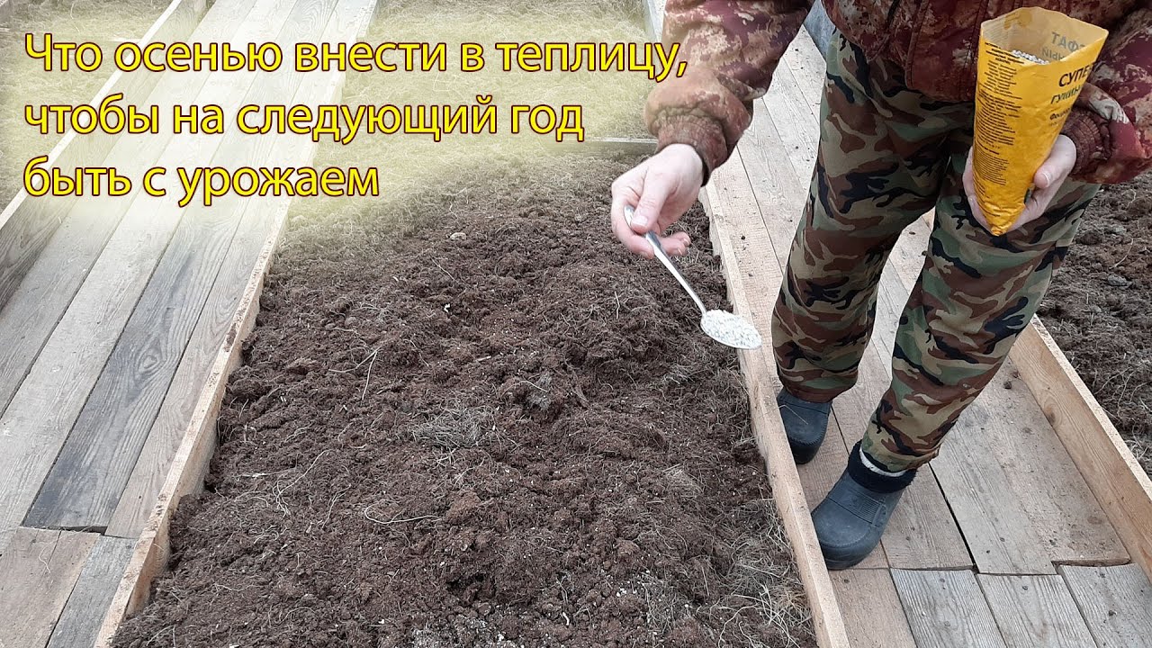 Что вносить в почву осенью в теплицу?