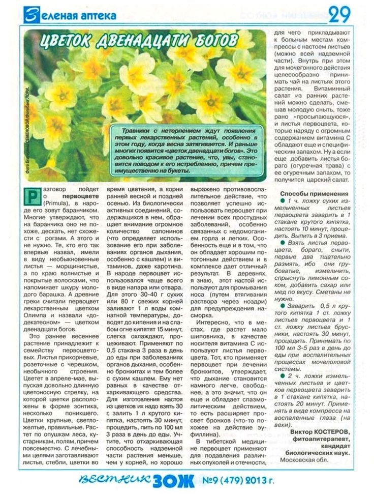 Для чего нужны эти части растения цветок?