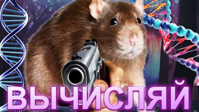 Где применяются облачные вычисления?