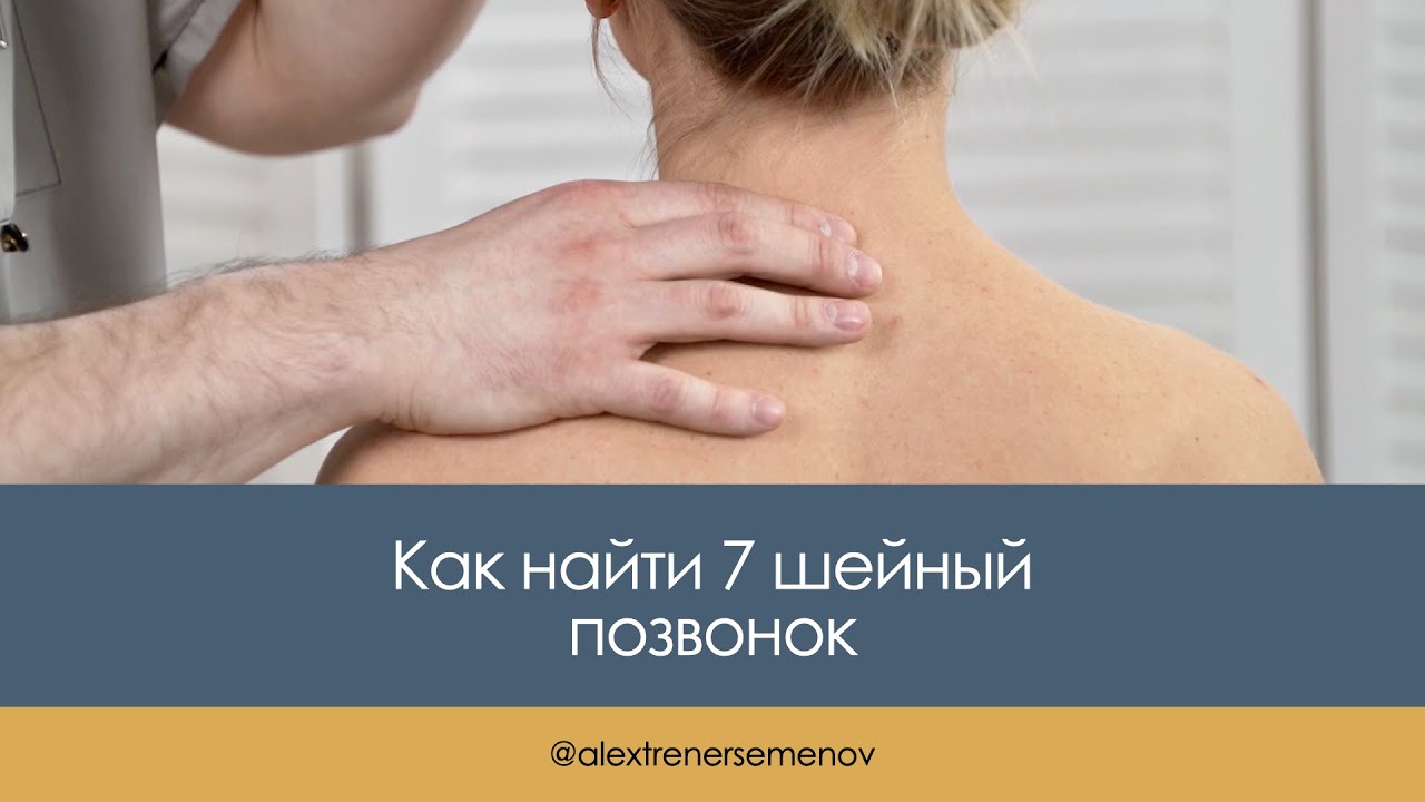 Где у человека находится седьмой шейный позвонок?