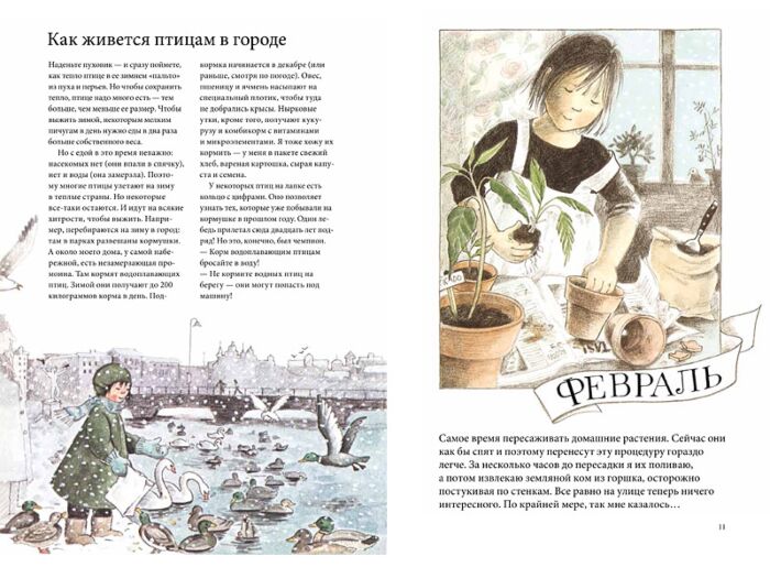 Как добраться до кормушки для птиц?