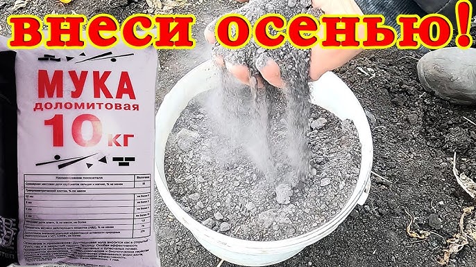 Как использовать доломитовую муку осенью?
