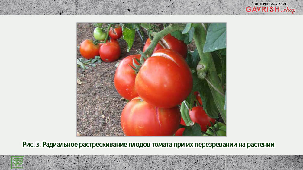 Как исправить растрескивание кирпича?