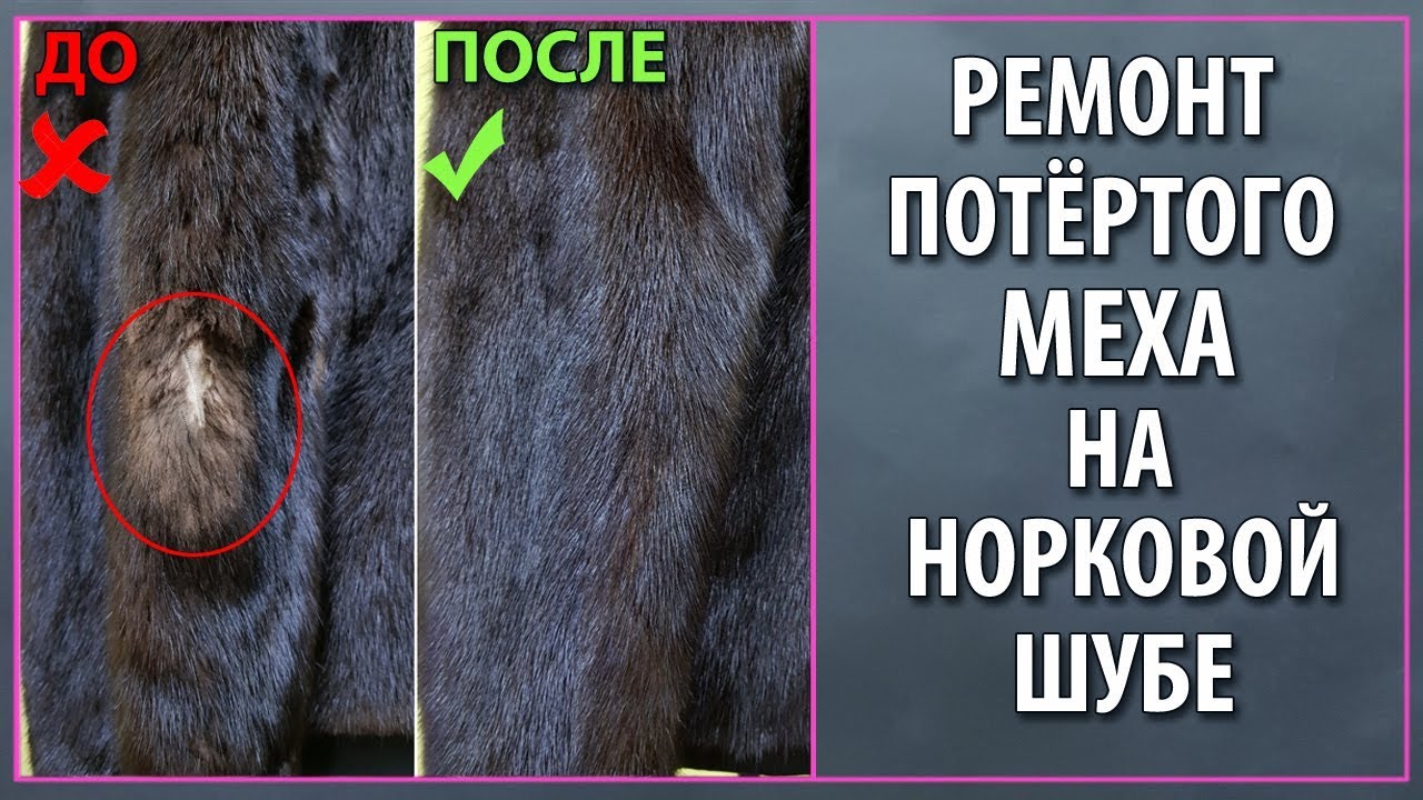 Как моль ест шубу?