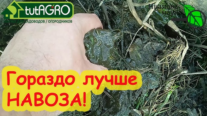 Как можно удобрить землю без навоза?