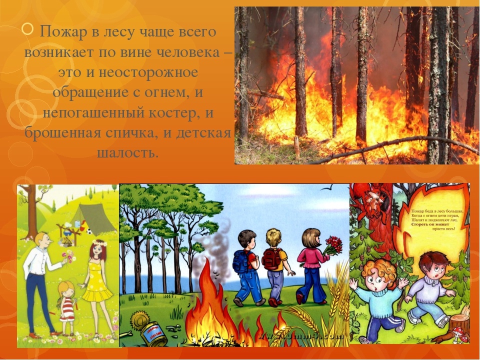 Как начинается лесной пожар?