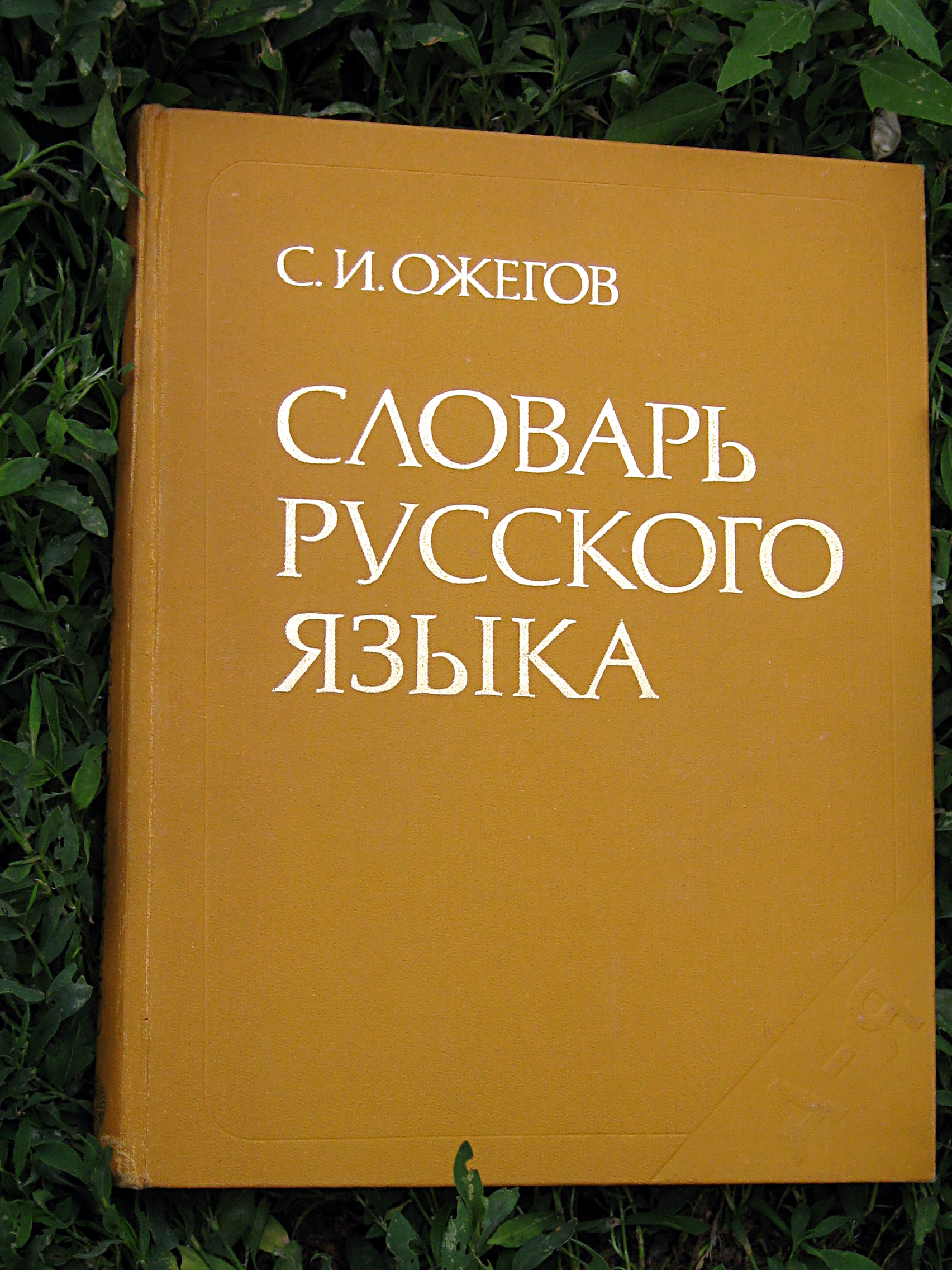 Как называется словарь содержащий слова с объяснением их происхождения?