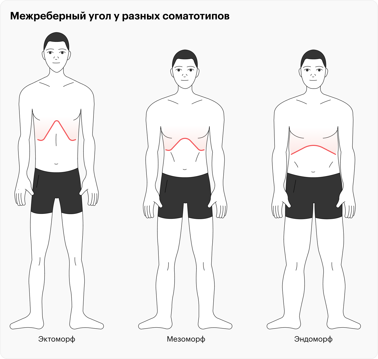 Как определить свой тип строения тела?