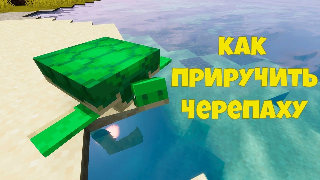 Как приручить черепаху в Minecraft?