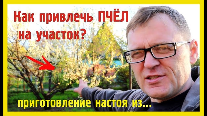 Как привлечь пчел?