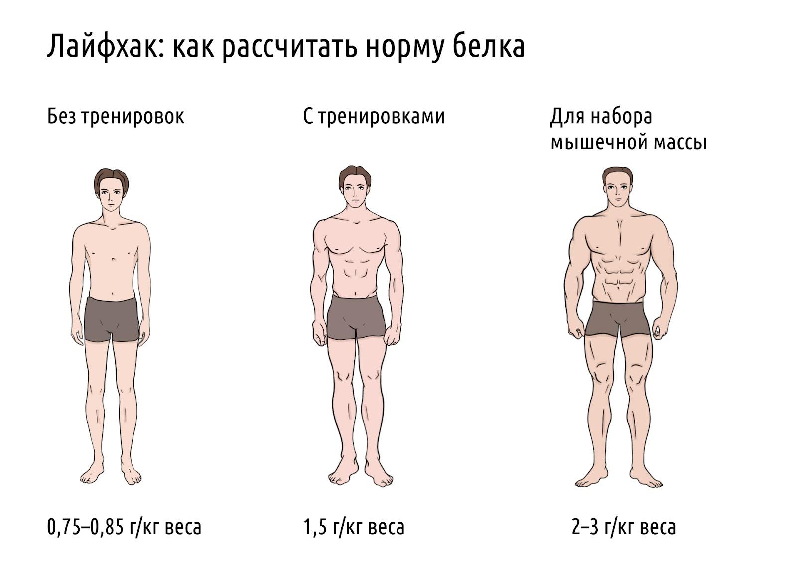 Как протеин влияет на тело?