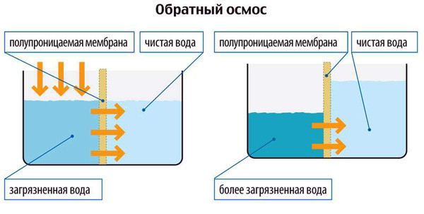 Как работает полупроницаемая мембрана?
