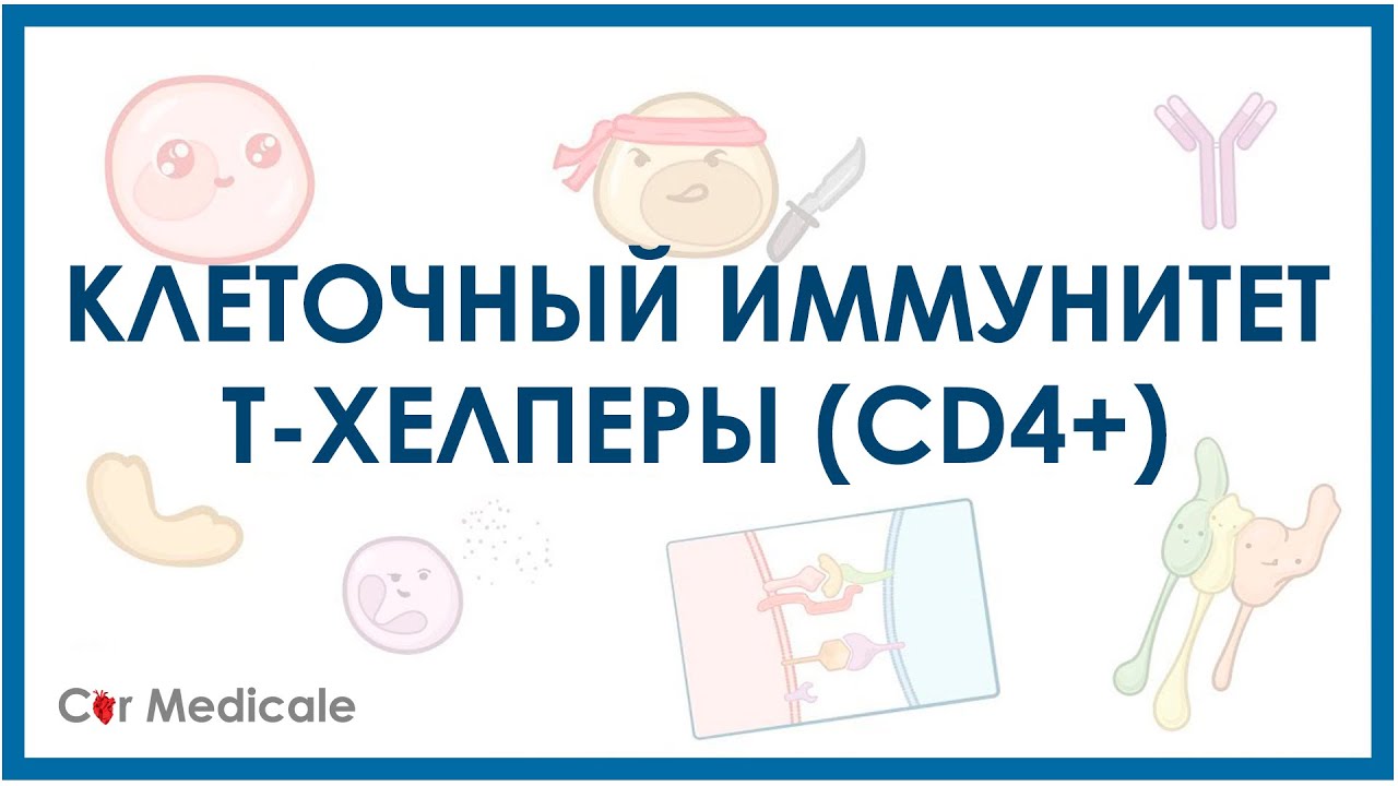 Как работают Т хелперы?
