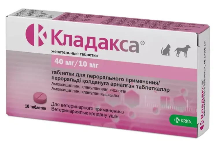 Как рассчитать дозу антибиотика для кошки?