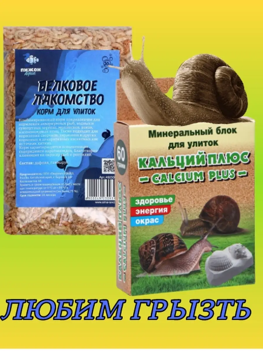 Как сделать белковую смесь для улиток?