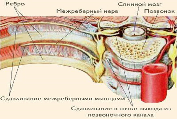 Как снять боль в сердце народными средствами?