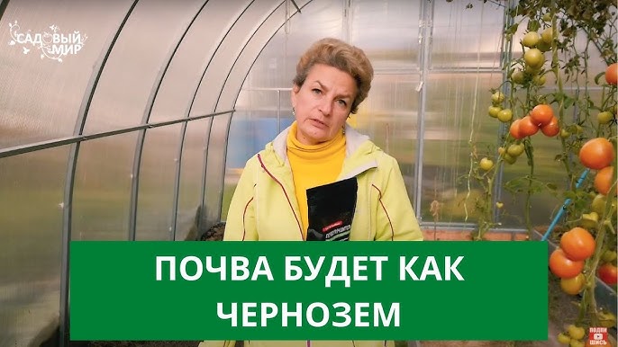 Как улучшить почву осенью?