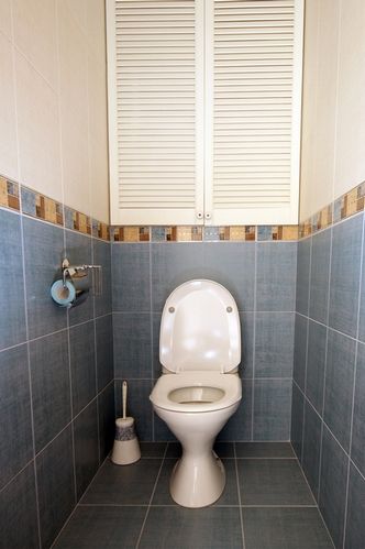 Как вынести кошачий туалет на улицу?