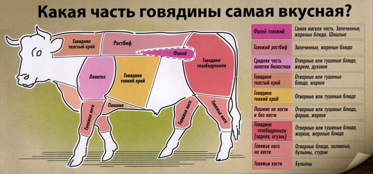 Какая часть мяса самая мягкая?