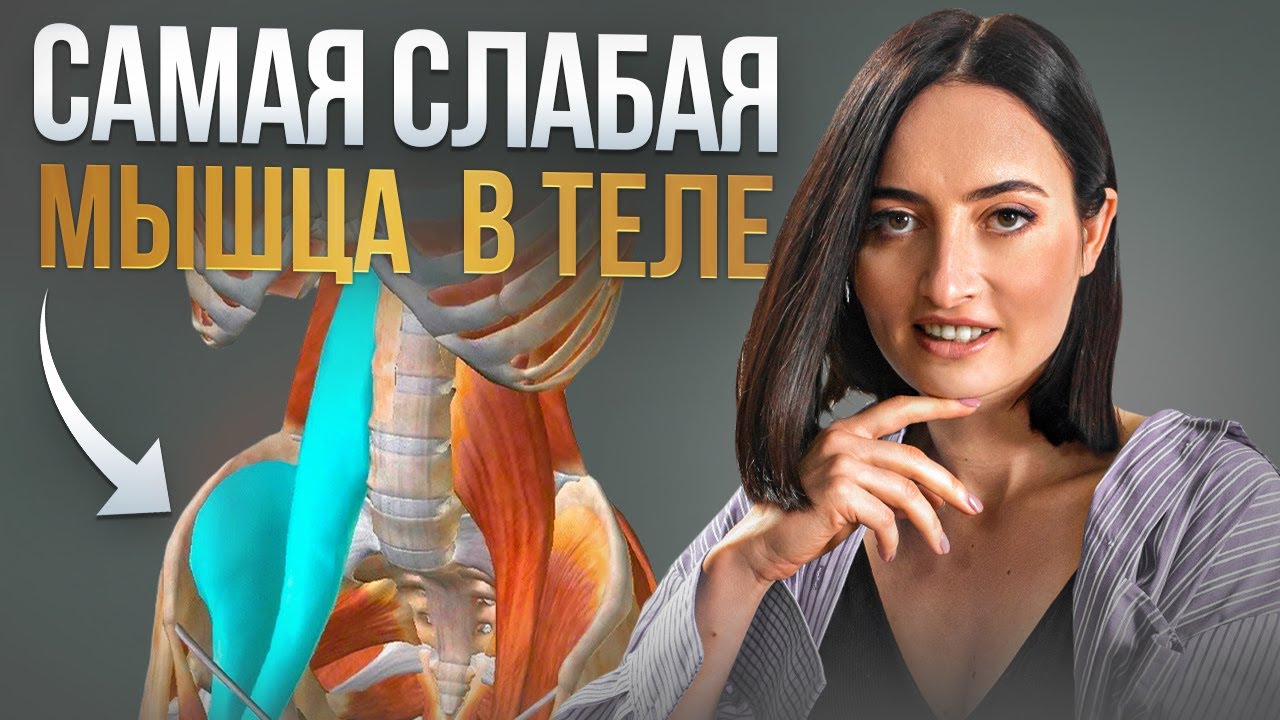Какая самая слабая мышца в теле человека?