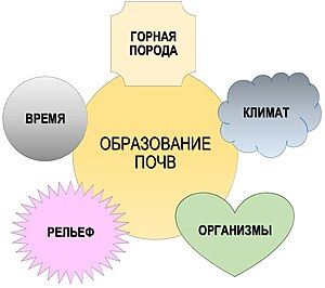 Какие есть свойства почвы?