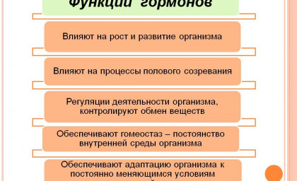 Какие гормоны влияют на рост организма?