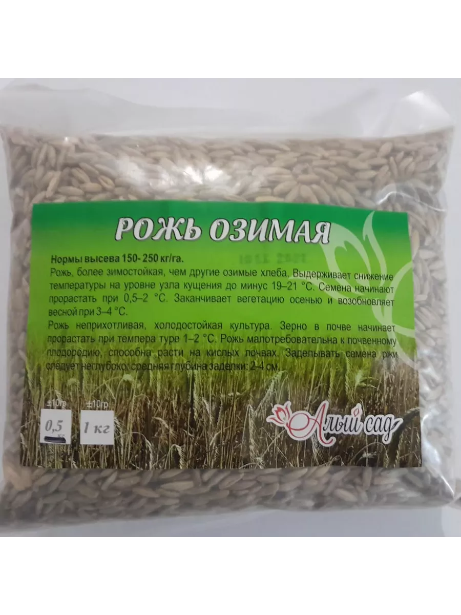 Какие морозы выдерживают озимые?