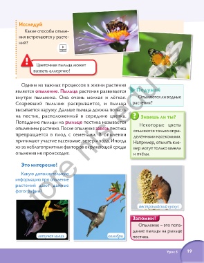 Какие способы опыления встречаются у растений?