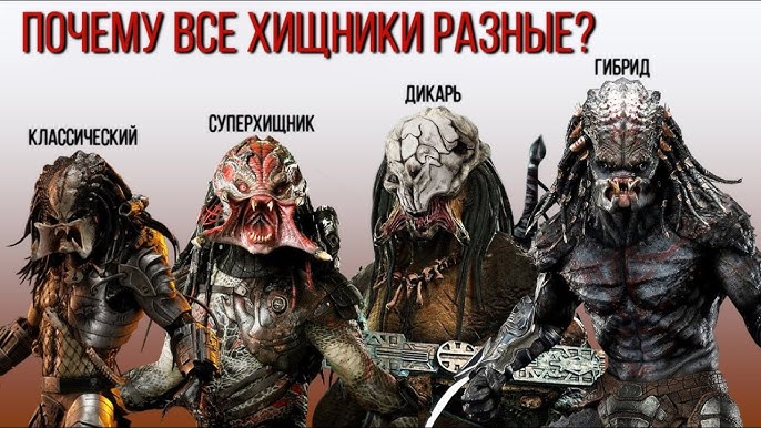 Какие виды хищников?