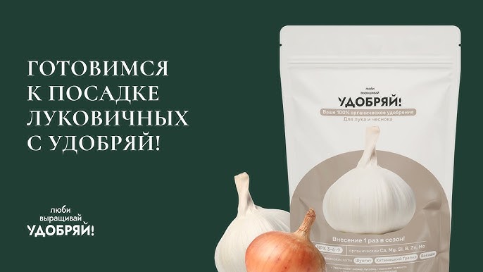 Какое удобрение вносить осенью под чеснок?