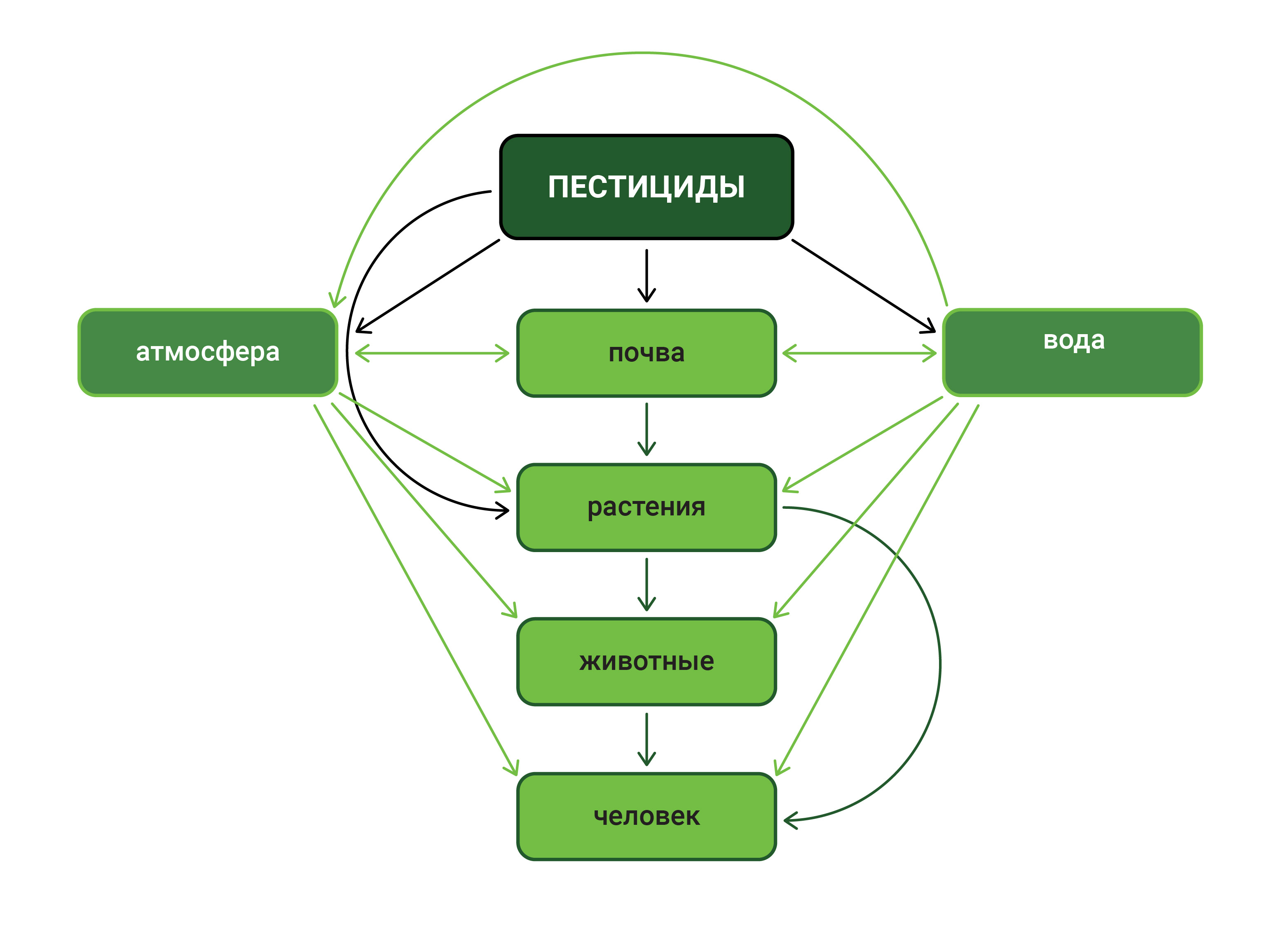 Какое влияние оказывают пестициды на человека?